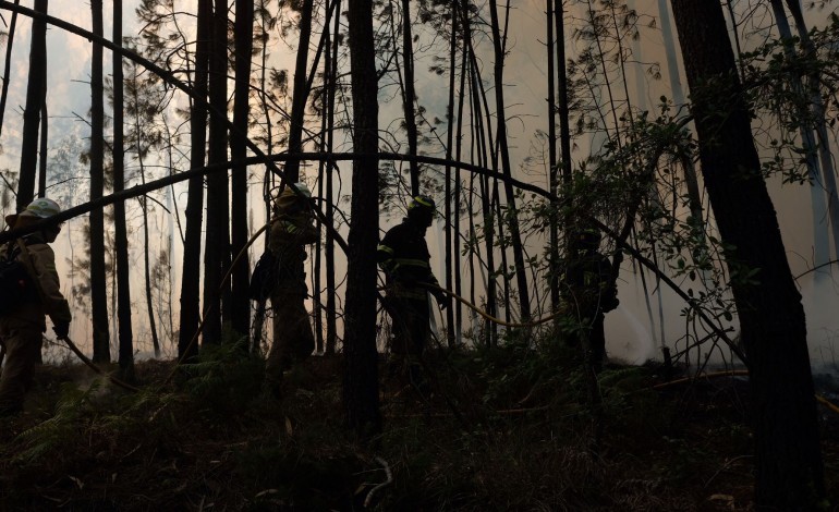 fogo-na-uniao-de-freguesias-de-santiago-e-sao-simao-e-albergaria-dos-doze-combatido-por-143-bombeiros-e-4-meios-aereos