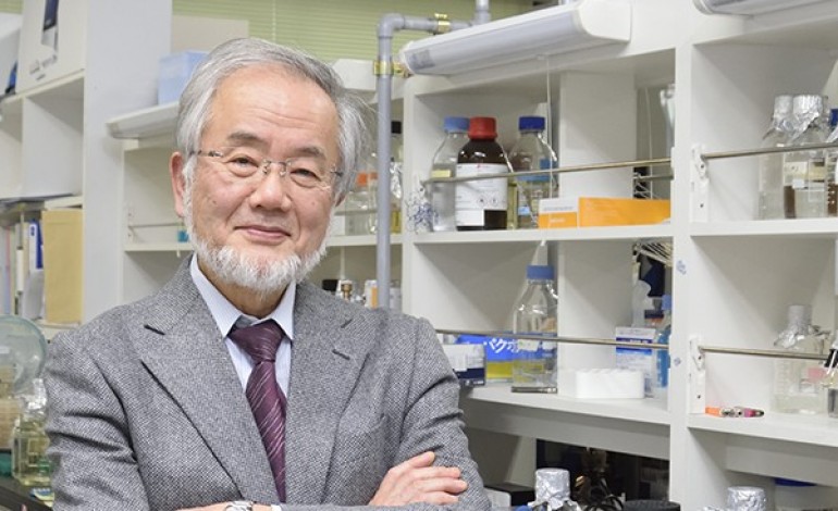 nobel-da-medicina-atribuido-ao-japones-yoshinori-ohsumi-5131