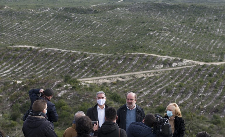 esperar-mais-uma-primavera-pela-regeneracao-natural-e-lancar-todas-as-intervencoes-no-pinhal-de-leiria-na-actual-legislatura