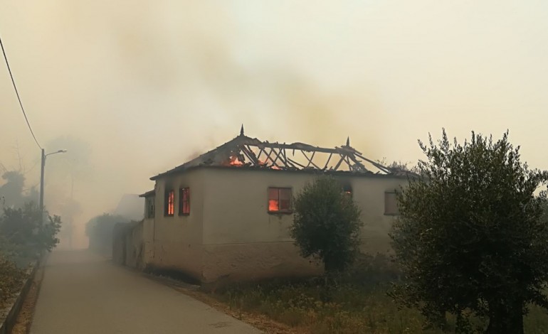 misericordias-podem-acolher-de-imediato-cerca-de-100-desalojados-pelos-fogos-6650