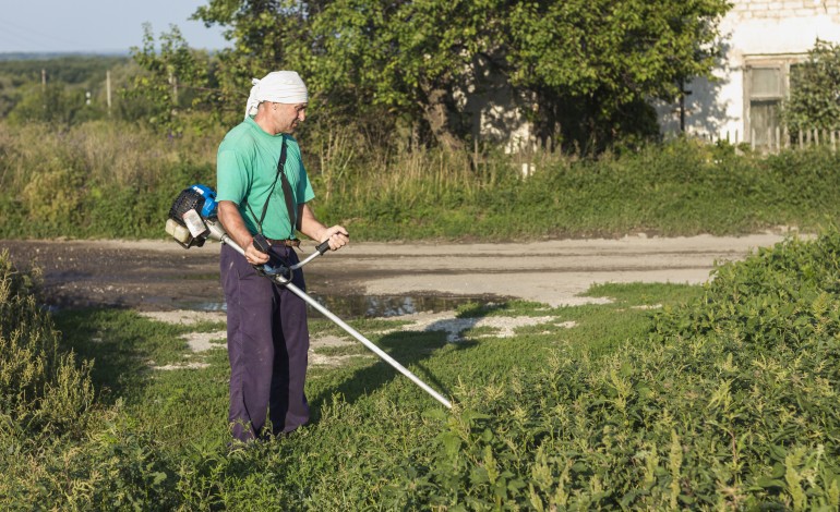 abandono-do-glifosato-faz-germinar-queixas-entre-municipes