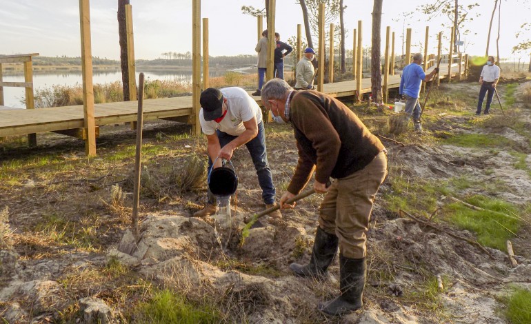 Além da plantação, há acções de rega das árvores