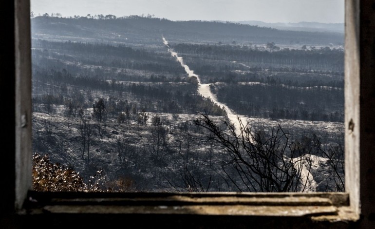 associacao-alerta-para-avanco-da-duna-no-samouco-que-duplicou-desde-o-incendio-de-2017-no-pinhal-de-leiria