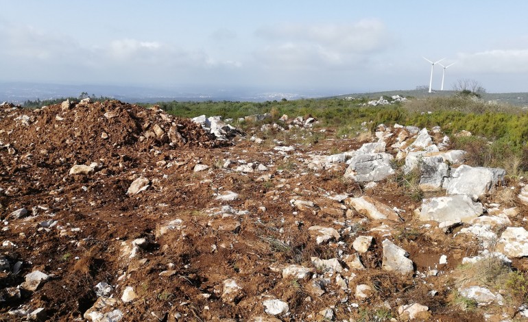 investigada-ampliacao-de-pedreira-que-tera-destruido-campo-de-lapias-na-serra-de-sico