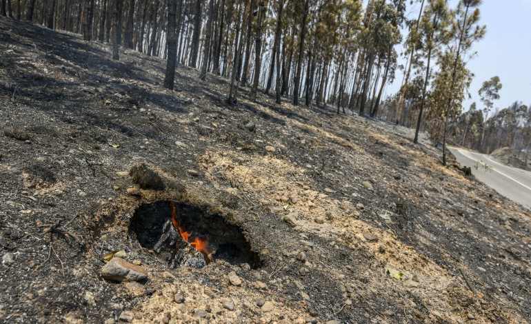 fogo-de-ourem-em-estado-de-resolucao