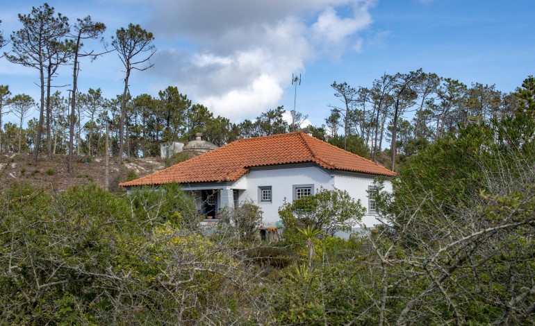 Antiga casa florestal, na Mata Nacional do Urso, no Pedrógão