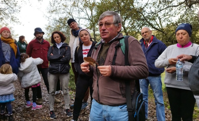 Ansião acolhe evento de valorização da floresta autóctone