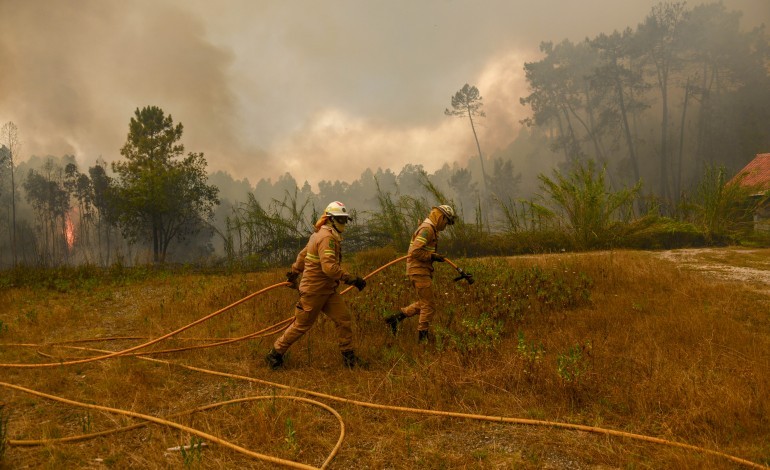 incendio-no-concelho-de-pombal-esta-em-fase-de-resolucao