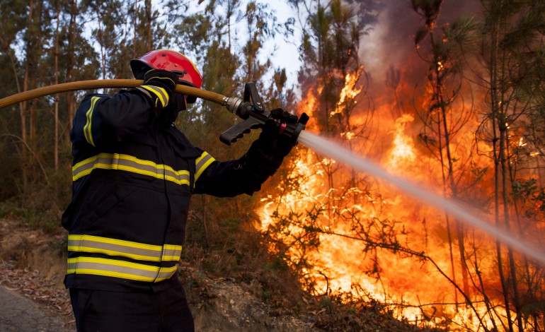 incendio-em-santa-eufemia-mobiliza-um-meio-aereo-7465