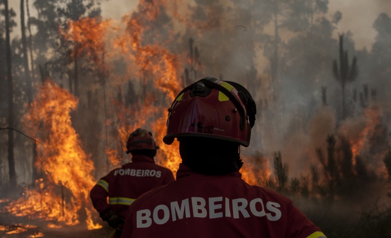 distrito-tem-maior-efectivo-de-sempre-contra-incendios-3810