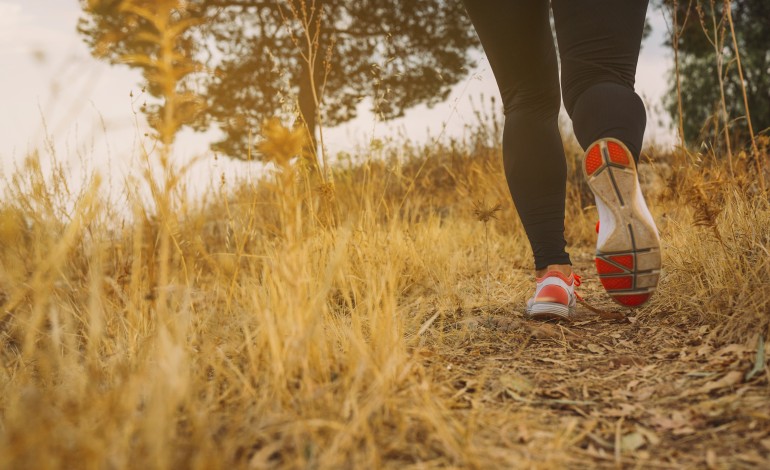 trail-trilhos-da-mata-a-25-de-janeiro